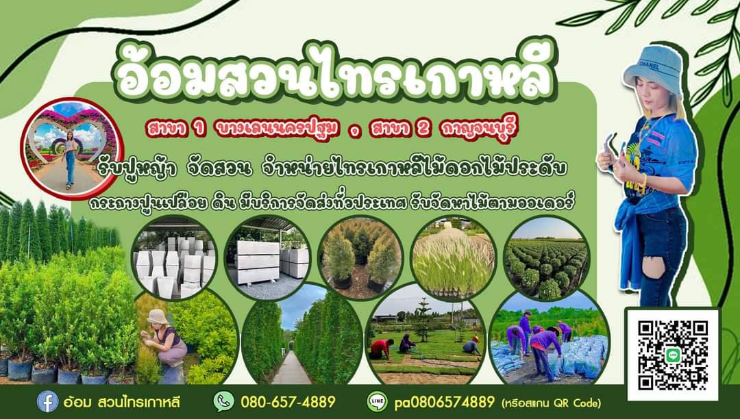 รับจัดสวน พร้อมอุปกรณ์ตกแต่งสวน